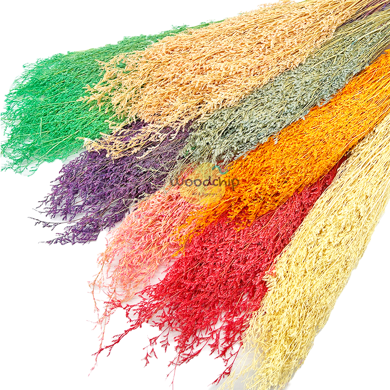 [1 bunch] CASPEA 1 BUNCH DRIED FLOWER / BUNGA KERING / PRESERVED FLOWER