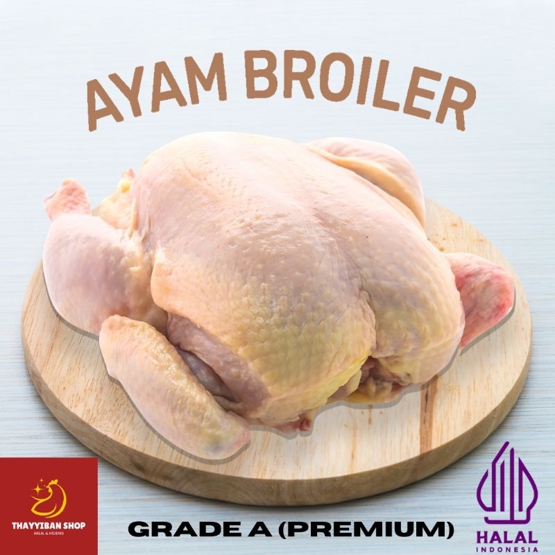 

AYAM KARKAS BROILER / AYAM POTONG UTUH (QTY : 1 EKOR) 0.8 - 0.9 KG