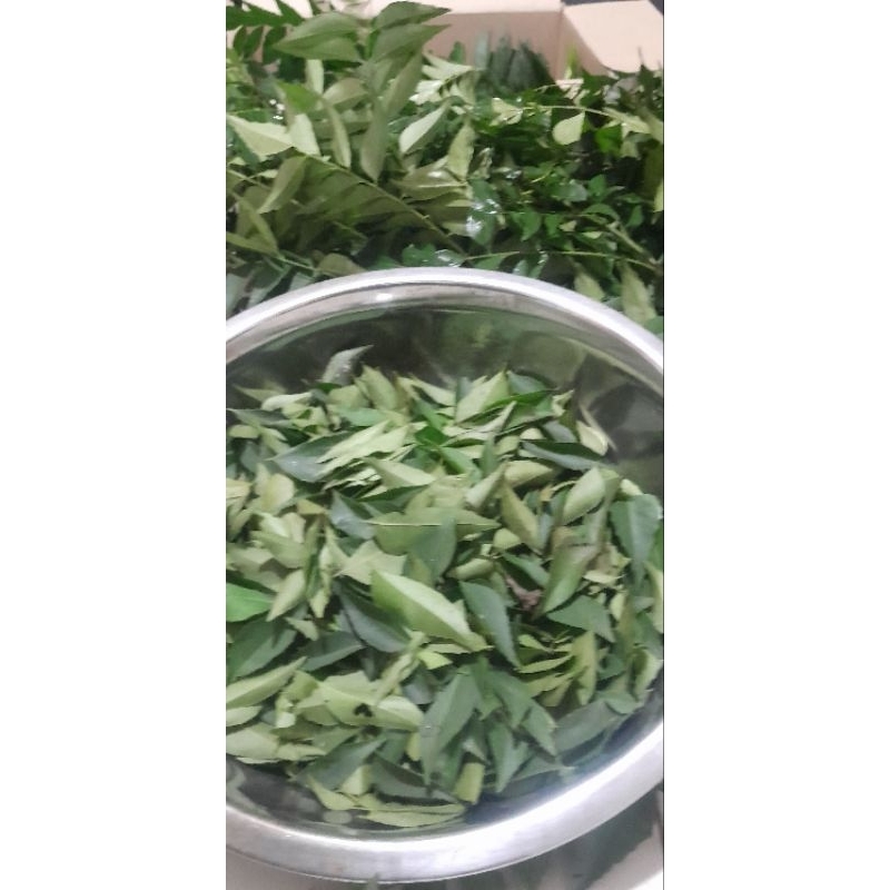 

Daun Kari / daun salam koja bumbu Rempah