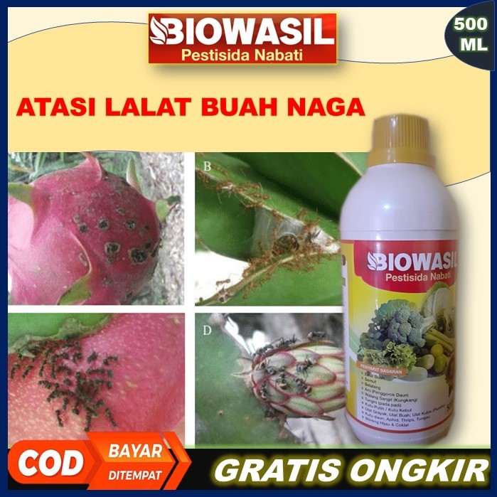Murah BIOWASIL Pestisida Nabati 500 Ml Paling Ampuh Pupuk Pengendali Hama Lalat Buah Naga – Cegah La