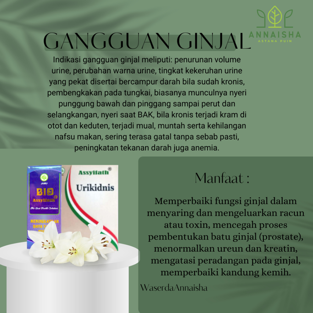 OBAT HERBAL GANGGUAN GINJAL-GANGGUAN GINJAL ASSYIFATH