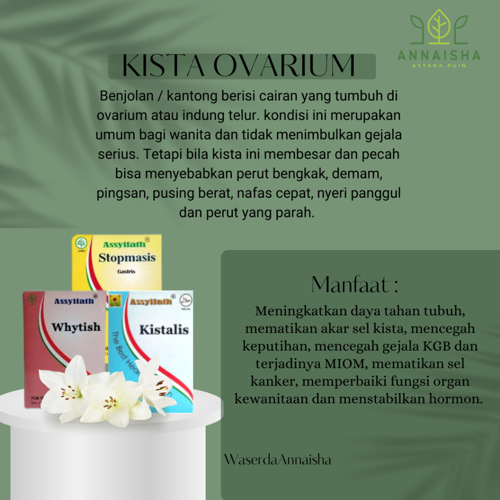 OBAT HERBAL KISTA OVARIUM-KISTA OVARIUM ASSYIFATH