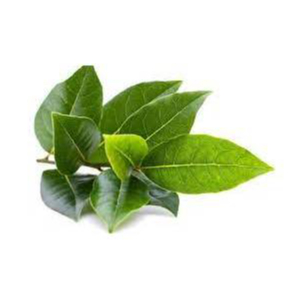 

( PER IKAT) ~DAUN SALAM SEGAR~ DAUN SALAM