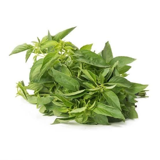 

( PER IKAT) ~ DAUN KEMANGI SEGAR ,DAUN WANGI