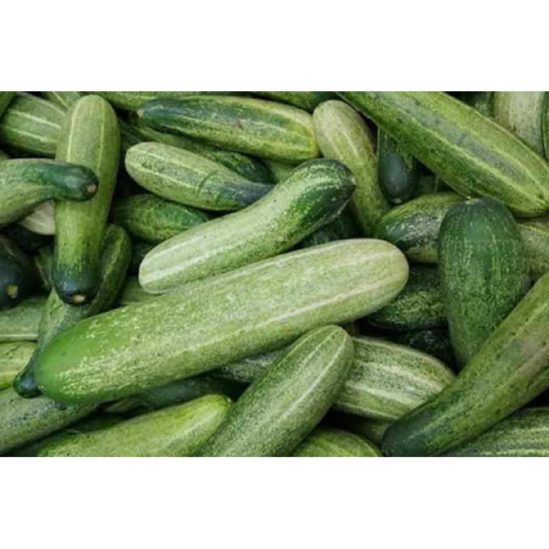 

Timun mentimungrosir buah sayur bandung30