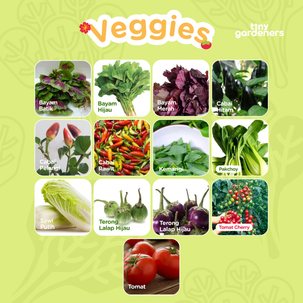 Growing Kit / Gardening Kit Sayur / Vegetable