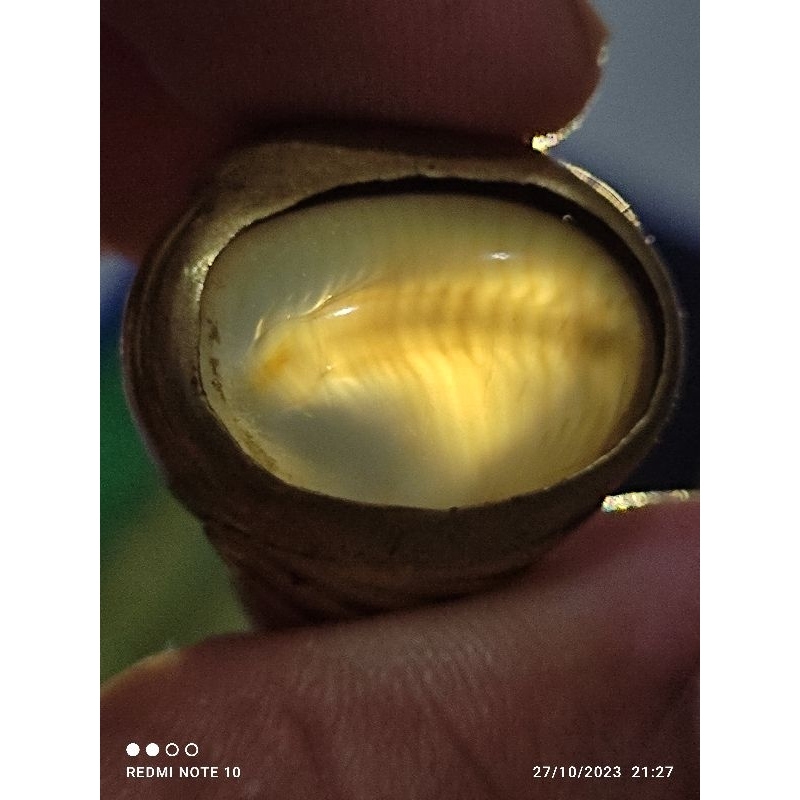 Batu Akik Lawasan Natural Motif Gambar Kelabang