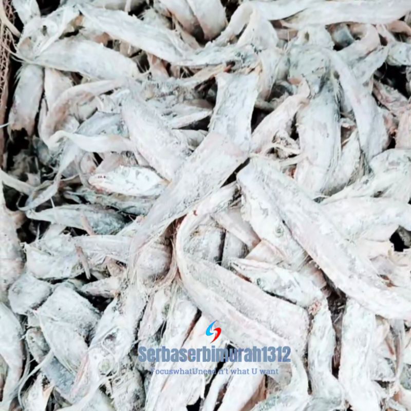 

Ikan Asin Ongong/ Anak Layur 250gr