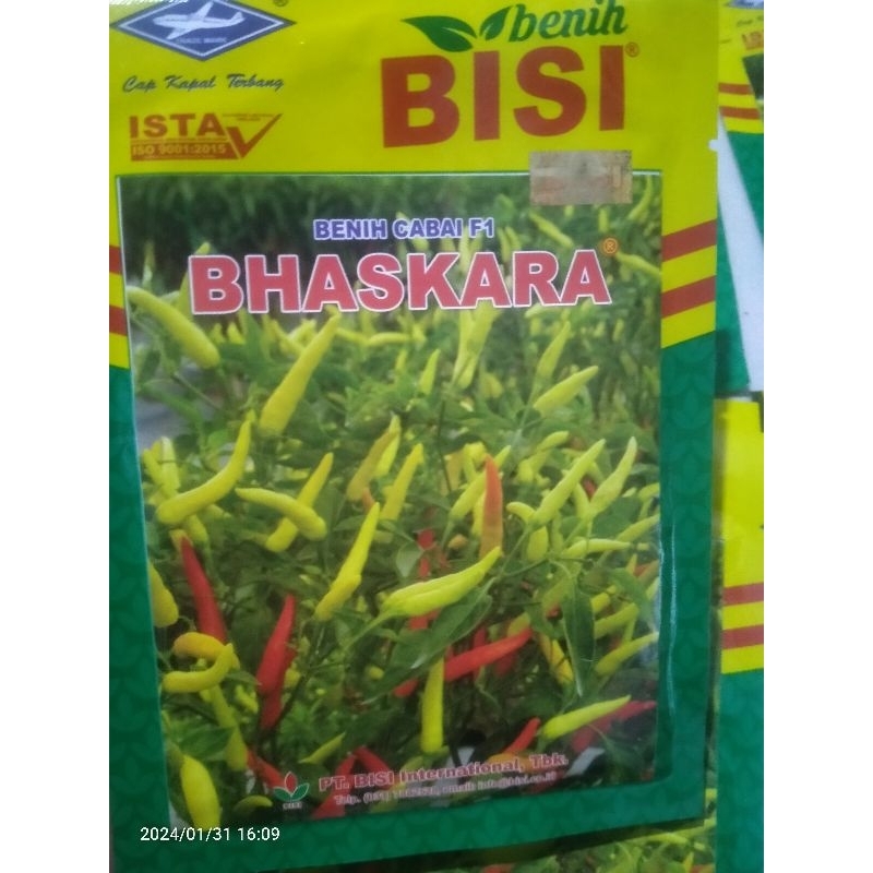 Bhaskara f1.Benih cabai Hibrida  f1 BHASKARA kemasan 10gr original exp 1-2027