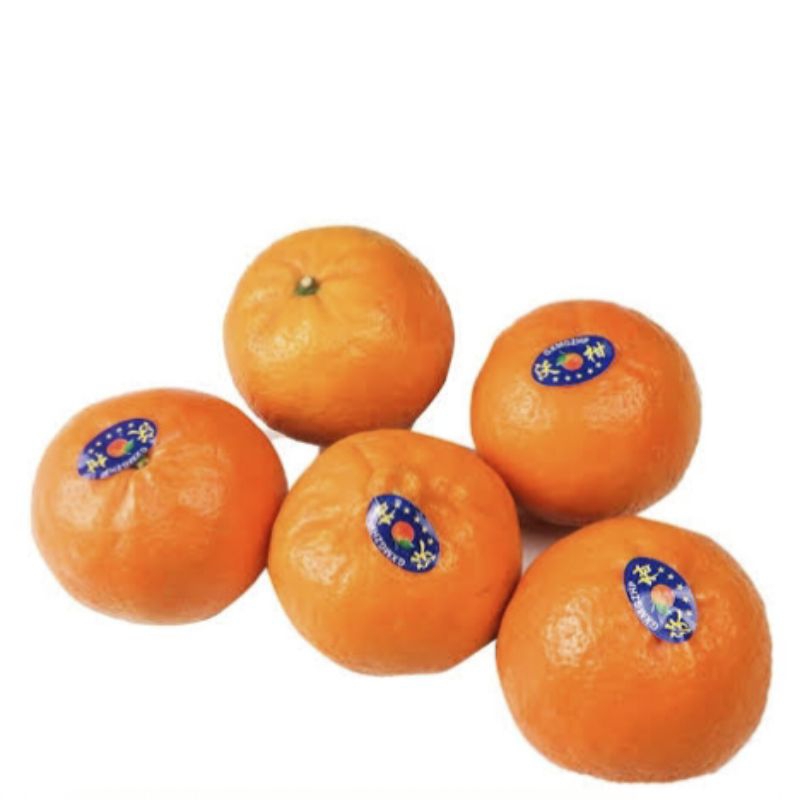 

Jeruk wokam mandarin import
