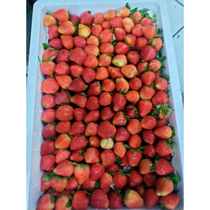 

strawberry fresh grade Ab 1kg
