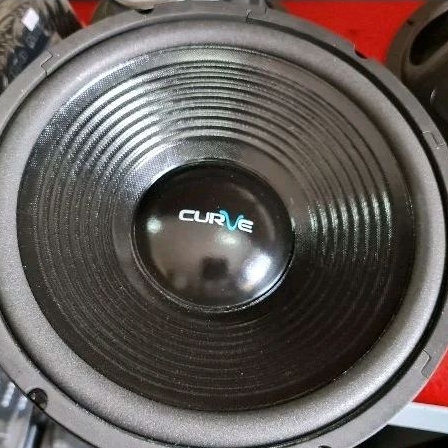 Speaker Curve 12in 30H120 SRW38B