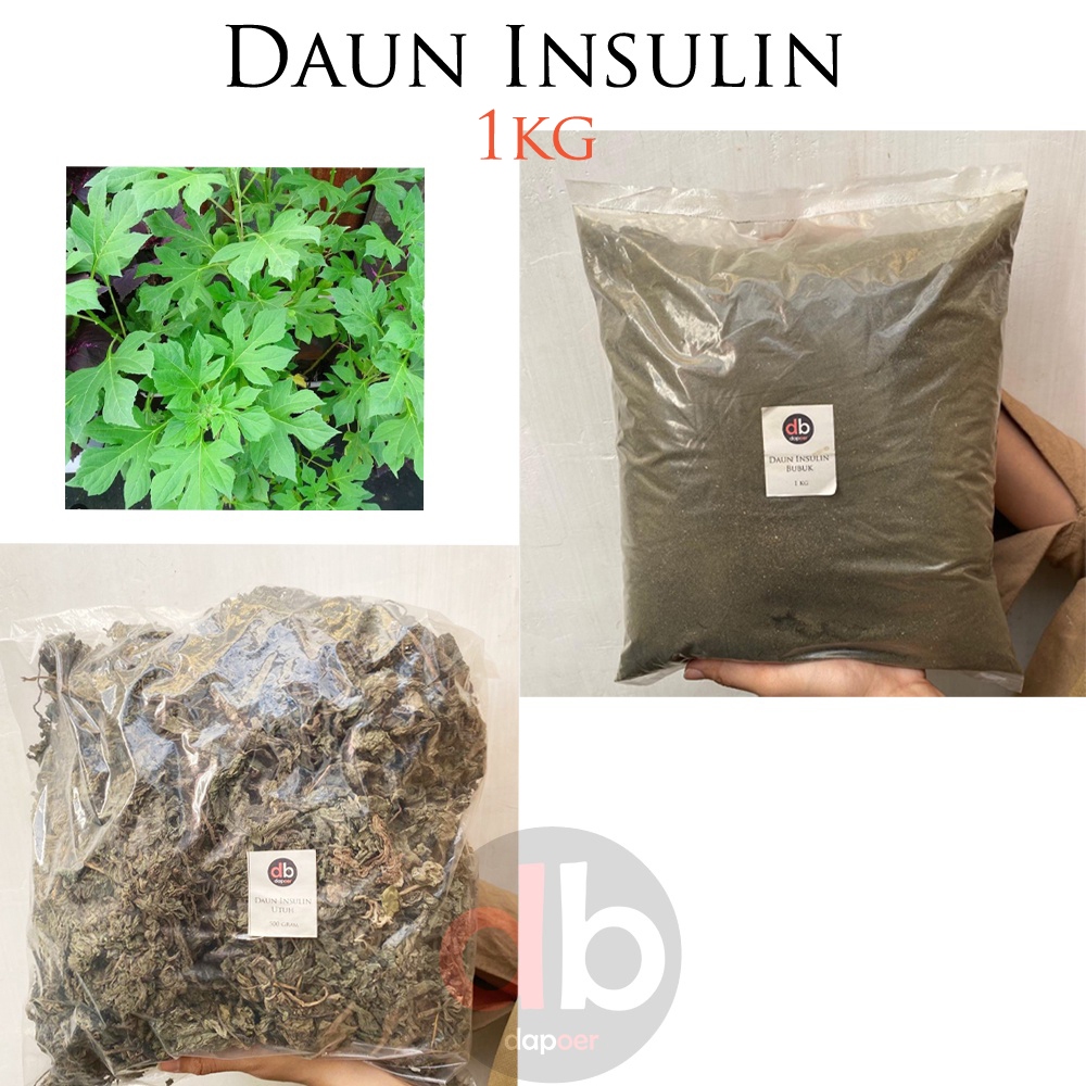 

Serbuk Daun Insulin | Insulin Bubuk 1kg | Daun Insulin 1kg
