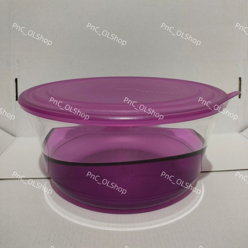 Eleganzia Bowl 2,3L