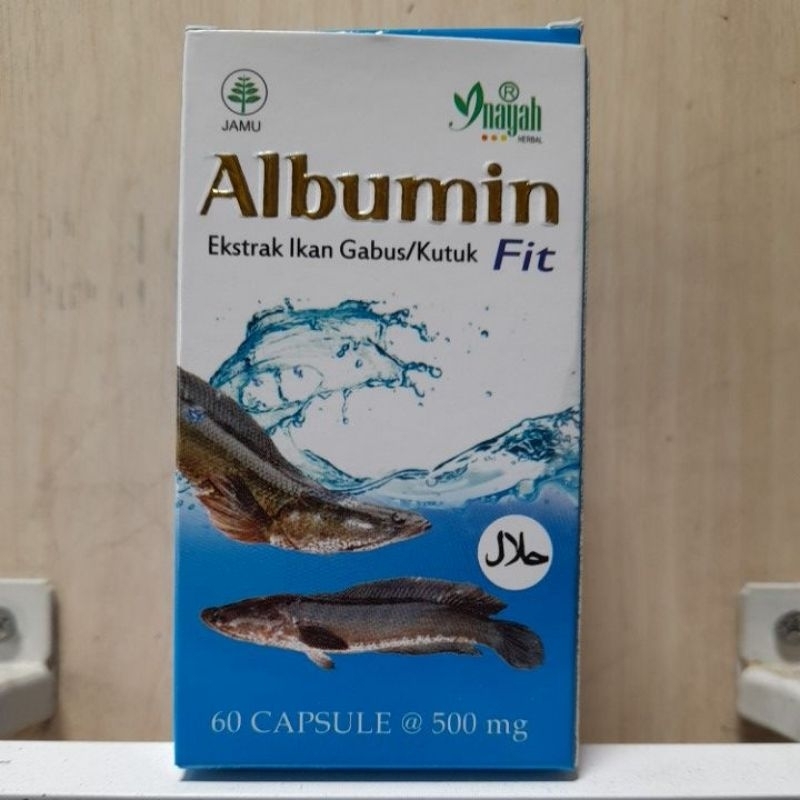 

ALBUMIN