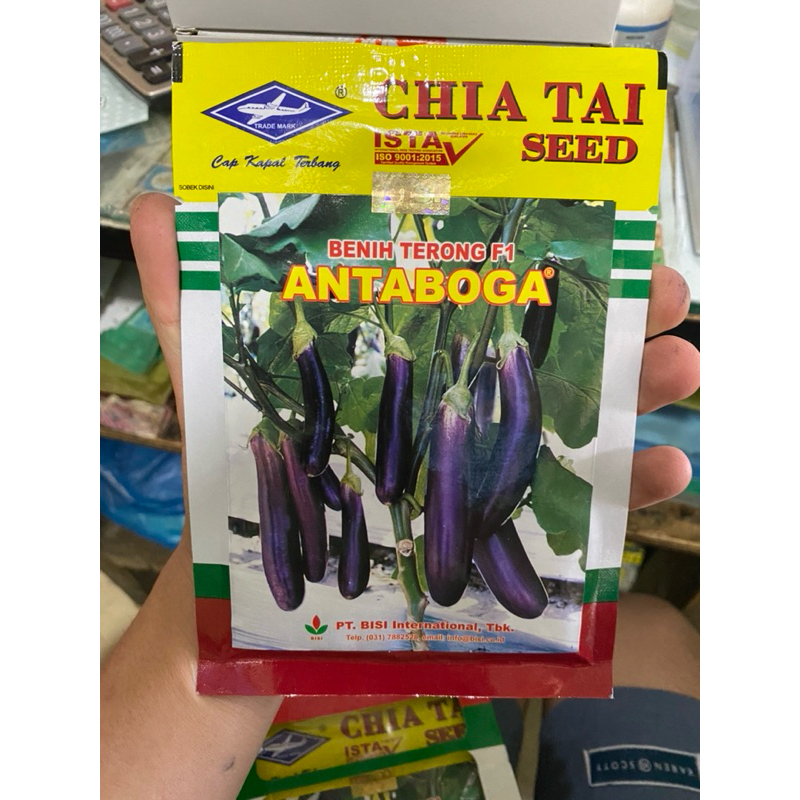 Bibit Terong Benih Hibrida F1 ANTABOGA ukuran 10gram