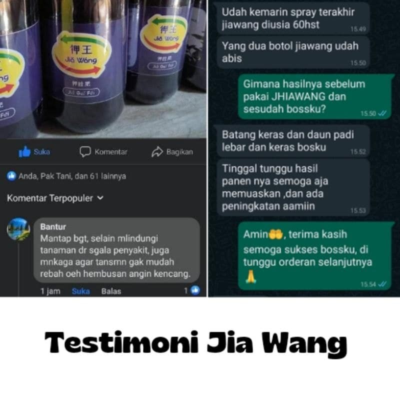 Jiawang Jia Wang Pupuk Cair Kalium Silica Murni Semua Tanaman, Pupuk Kalium Silika