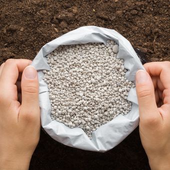 PUPUK FERTIPHOS / PUPUK TSP / PUPUK TRIPLE SUPER FOSFAT