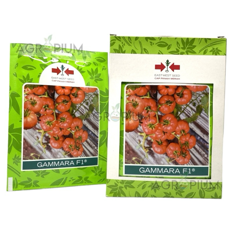 Benih tomat keriting mawar GAMMARA f1 150 butir cap panah merah