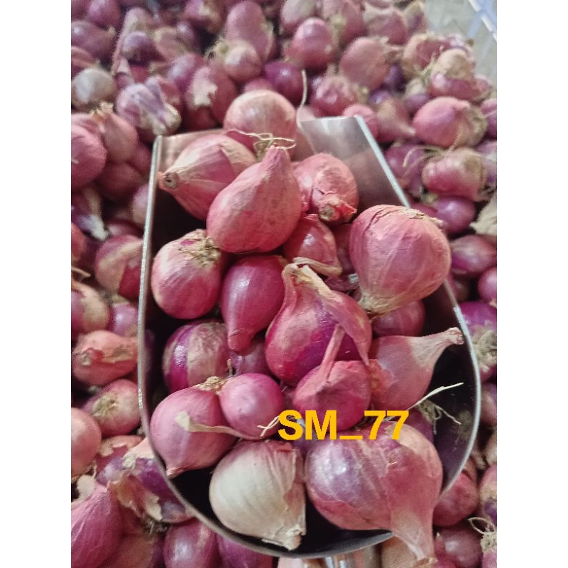 

Bawang Merah | Bawang Merah Sedang Berkualitas | Bawang Merah