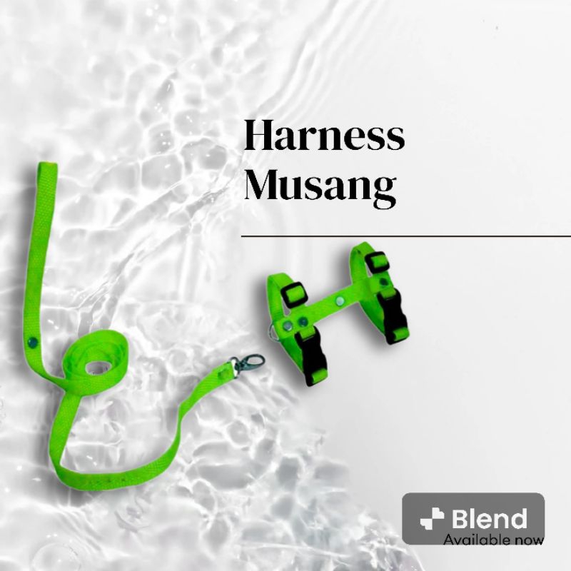 HARNES MUSANG UKURAN 2 BULAN SAMAPAI DEWASA TALI TUNTUN MUSANG UNTUK SEMUA UMUR WARNA HIJAU MUDAH