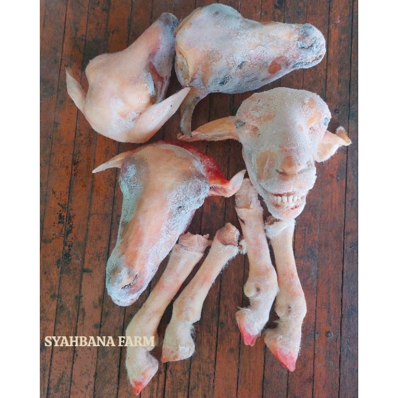 

1 SET KEPALA + 4 KAKI BESAR