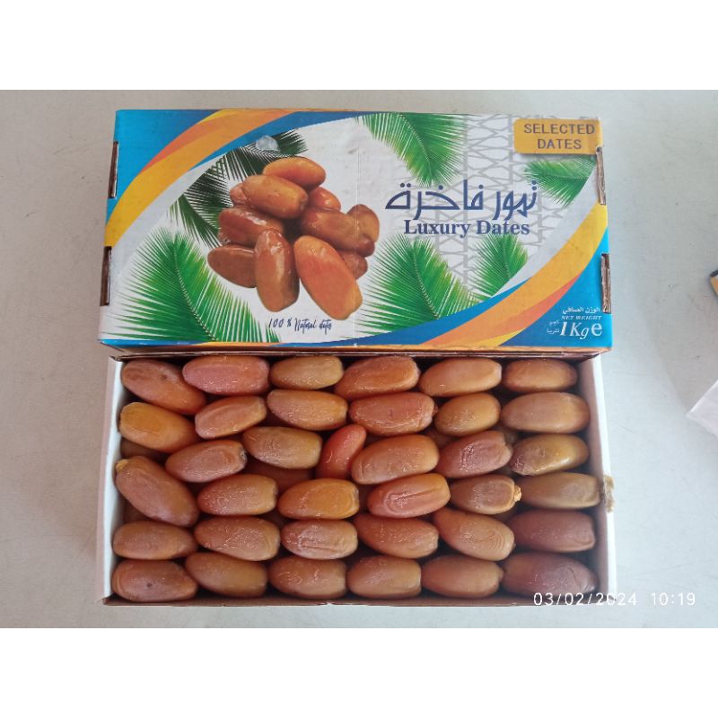 

Ruthob Libya Kurma Muda