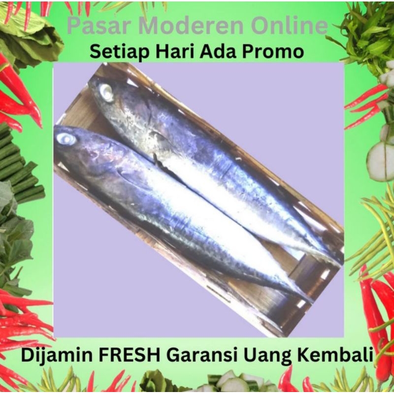 

IKAN CUE ISI 2 EKOR 110 GRAM/PEDAGANG/LAPAK/BAKUL/KEDAI/WARUNG/JUAL BELI SAYUR SAYURAN DAN IKAN ASIN KERING PINDANG REBUS TERMURAH/PASAR MODEREN ONLINE