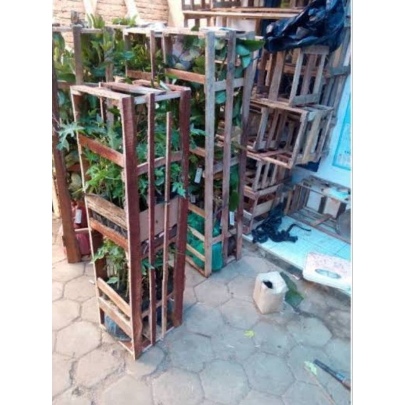 

TAMBAHAN PEKING PAKAI PETI