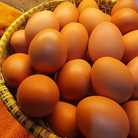 

Langsung Checkout TELUR AYAM NEGERI 1 KG FRESH BANDUNG CIMAHI