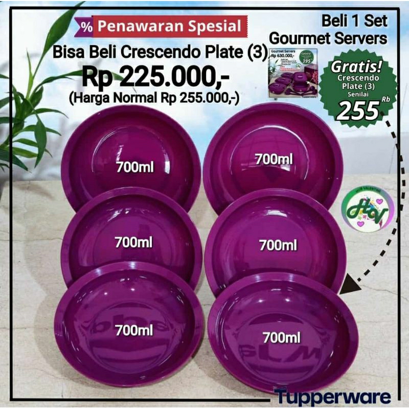 TUPPERWARE PROMO  Blossom Plate (4) - set piring bloomia original - piring cantik premium murah