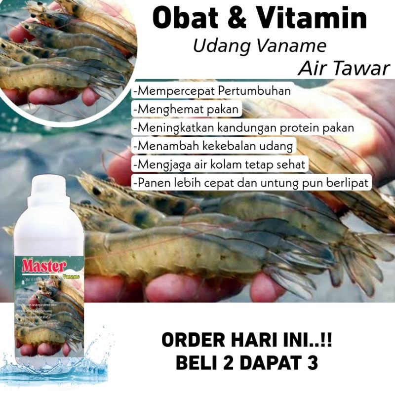 MASTER VANAME Probiotik Udang Vaname - Meningkatkan Produksi & Kualitas Udang