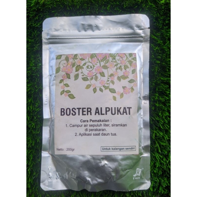 Boster Alpukat