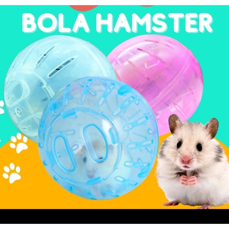 BOLA HAMSTER mainan bola hamster jogging ball