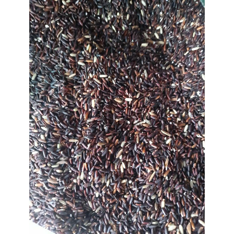 

KETAN HITAM KONSUMSI 100GRAM