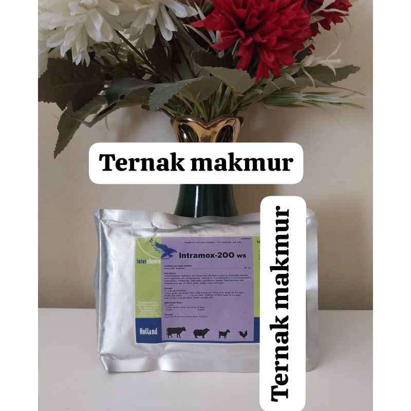 Intramox 200ws 100 gr