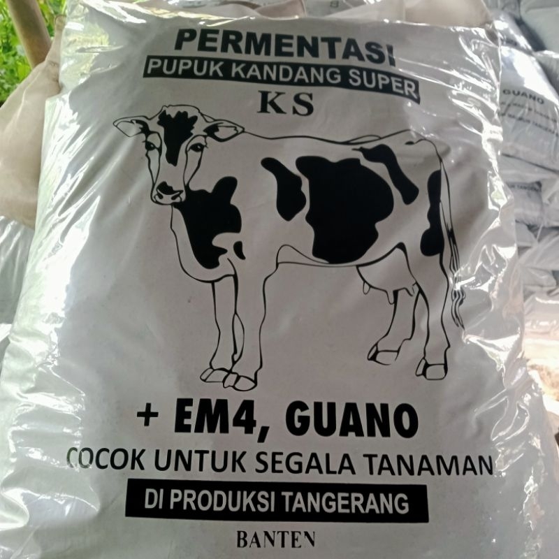 Pupuk kandang sapi