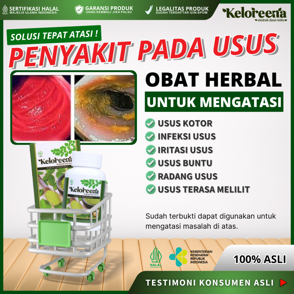 Obat Herbal Pembersih Usus Kotor, Infeksi Usus, Usus Besar, Usus Buntu, Radang Usus, Infeksi Usus, I