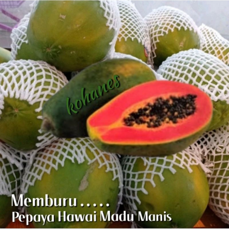 

PEPAYA HAWAI MADU FRESH ( HARUM MANIS ) 1 KG +++