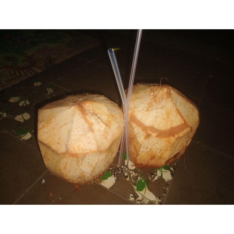 

Kelapa Muda Kupas Fresh (segar) tinggal minum