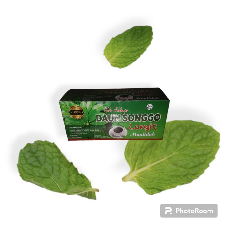 

Obat herbal Teh celup songgo langit