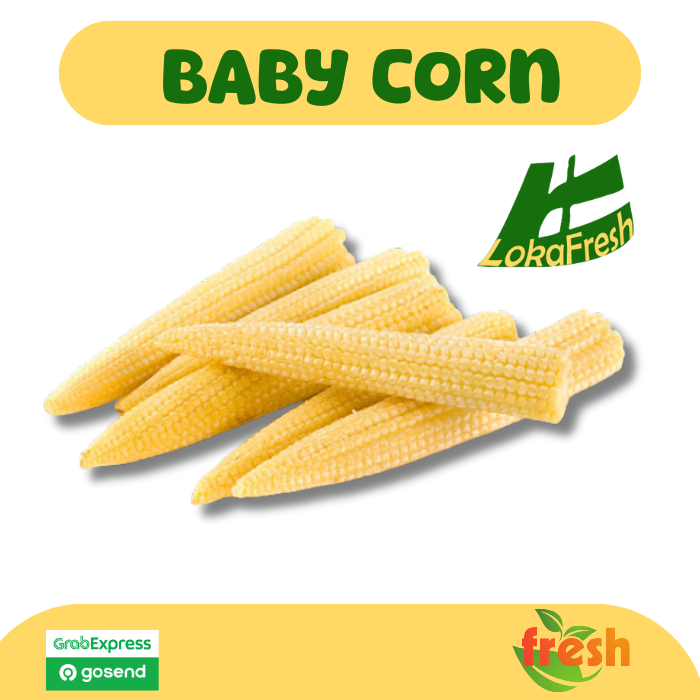 

Baby Corn- Jagung Muda Segar