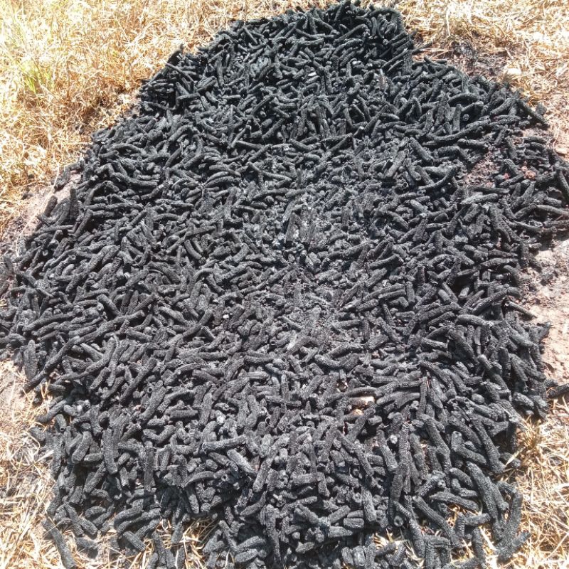 

arang janggel jagung