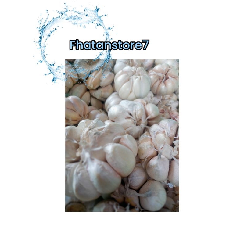 

Murah Bawang Putih Bonggol 500 gr | Jual Bawang Putih Bonggol Murah