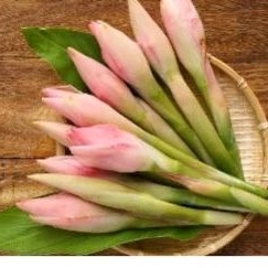 

Kecombrang 250gr