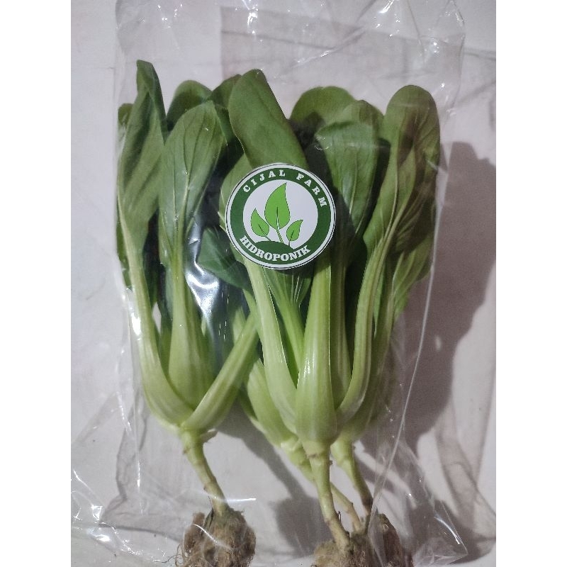 Pakcoy Hidroponik sayur segar Bandung