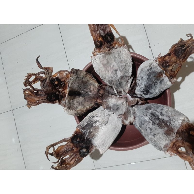 CUMI KERING/ SOTONG KERING/ JUHI