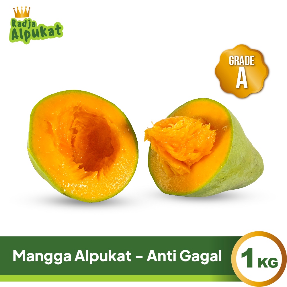 

Mangga Alpukat Super Grade A - Anti Gagal - 1 KG