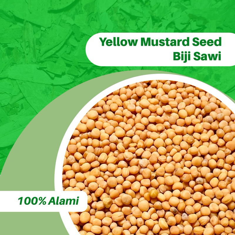 

100GR YELLOW MUSTARD SEED BIJI SAWI 100% ORI