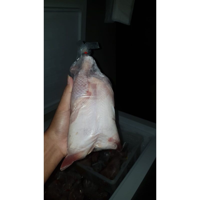 

ayam segar frozen food